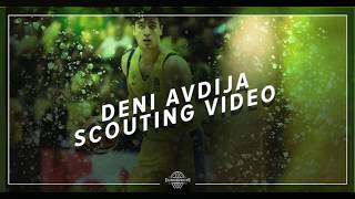 Deni Avdija  2020 NBA Draft Scouting Video [upl. by Neuburger]