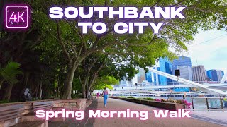 Brisbane Southbank to City Walk Across Neville Bonner Bridge  Morning Walking Tour  4K60fps [upl. by Oilcareh854]