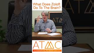 What Does Zoloft Do To The Brain [upl. by Einnim]