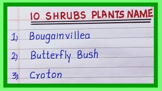 Shrub Plants Name in English  10 Name of Shrub Plants  List of Shrubs [upl. by Graff]