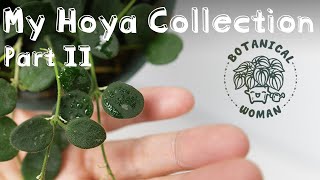 My Hoya Collection Part II [upl. by Adnik]