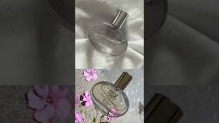 Suroskies Rose Dore Hair Perfume More Than Just a Fragrance 🌹✨suroskie hairperfume ytshorts yt [upl. by Gunas]