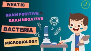 “Difference between Gram Postive and Gram Negative bacteria” [upl. by Damahom818]