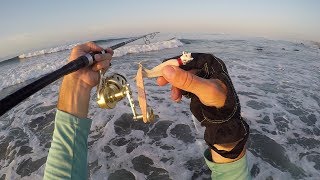 Fishing the Summer Surf [upl. by Lledniw359]