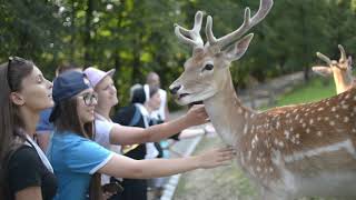 Unit 2 Lesson 2 ReadAloud Classifying Animals Based on Characteristics [upl. by Anen]