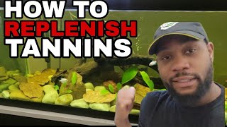 HOW TO ADD and REPLENISH DARK TANNINS to your BLACKWATER AQUARIUM [upl. by Esilec]