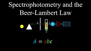 Spectrophotometry Beer Lambert Law  Chemistry [upl. by Aikas]