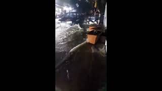 🚨 Flooding in Beirut Lebanon after heavy rains November 10 2024 [upl. by Ram]