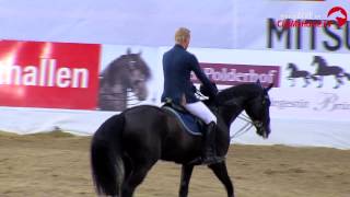 Mario Stevens  Baloubet  Großer Preis  AGRAVISCup  Oldenburg  2014 [upl. by Rutra]