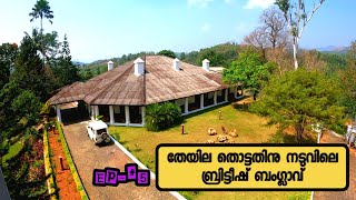 Ep5 വയനാട്ടിലെ Heritage ബ്രിട്ടീഷ് ബംഗ്ലാവ് Parisons Plantation Experiences Talapoya Bungalow 4K [upl. by Haidabej]