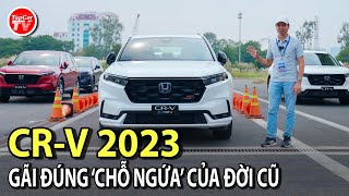 Đánh giá nhanh Honda CRV thế hệ mới 2023  Gãi đúng quotchỗ còn ngứaquot của thế hệ cũ  TIPCAR TV [upl. by Kerrill]