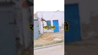 4 जून 2024birds fact2chop pets funny cat animals fact2fact mirzafact factvideo the [upl. by Rem]