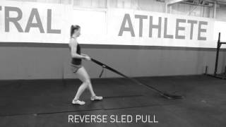 Reverse Sled Pull [upl. by Anayet]