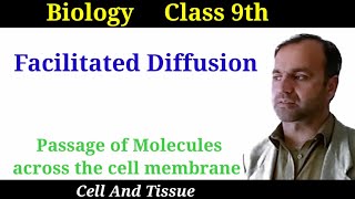 Facilitated Diffusion  Passage of Molecules across the cell membrane  Class 9 Biology [upl. by Eveivaneg]