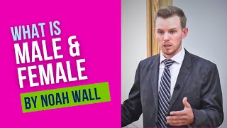 What Is Male amp Female Noah Wall [upl. by Sibell]