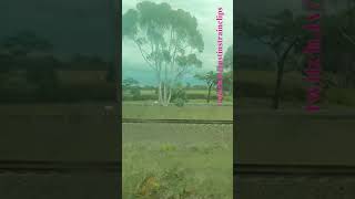 VLINE Southern Cross To Warrnambool 141223 victoria shorts shortvideo train travel views [upl. by Vigor577]