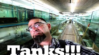 Aquarium Dietzenbach Tour Part One [upl. by Rhett]