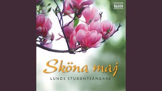 Studentsången  Sjungom studentens lyckliga dag [upl. by Einnaffit]