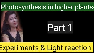 photosynthesis in higher plants NCERT educationk6111 [upl. by Zigrang704]