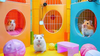 Hamster Escape the Prison Maze for Pet 🐹 Hamster Maze [upl. by Hecklau]