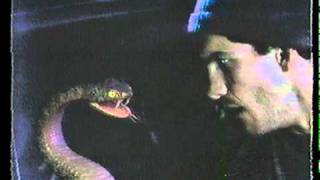 Viper Car Alarms “Protected by Viper”  Commercial 1992 [upl. by Aitnahs161]