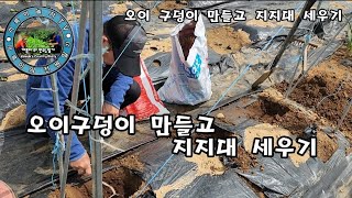 417 오이구덩이 만들고 지지대 세우기끼륵이의 전원일기끼륵아놀자TV [upl. by Zebapda486]