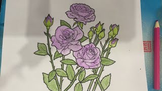 Color the picture of roses [upl. by Errised]