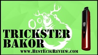 Best Ecig Review  GPen Pro GotVape Tundra Randys Troo Trickster Bakor [upl. by Inalaehak532]