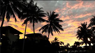 Top Places to Explore in Port Douglas amp Beyond  Far North Queensland MustSees in HDR 4K [upl. by Nivalc452]