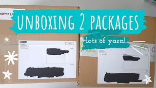 Unboxing two boxes of yarn  amigurumi crochet vlog [upl. by Frechette]