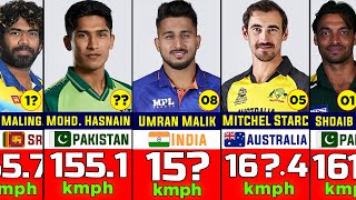 Top Fastest Bowlers in Cricket History  Top Fastest Bowlers in the World [upl. by Akemot50]