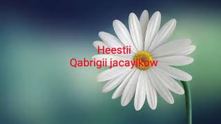 Saynab cige heestii qabrigii jacaylkow [upl. by Idnek]