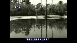 Vaaduka Marachedavela  Pelli Kanuka 1960 [upl. by Innaig827]