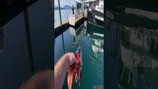 This is why you NEVER get in the water scary ocean alaskafishing [upl. by Airitac484]