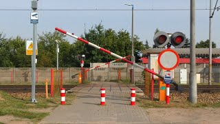 4K Przejście kolejowe  Skierniewice ul Sosnowa  Polish railroad crossing [upl. by Nalhsa238]