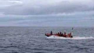 Portuguese lifeboat Searibs PT760C quotZozimoquot  Praia Vitoria Fire Dpt [upl. by Delmar]