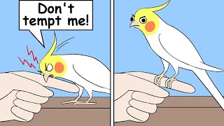 Funny Comics With Parrot Thought Twist 11  Parrot Comic Dub [upl. by Assenyl710]