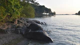 Wellesley Island State Park [upl. by Aimej]