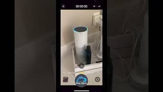 How to Easily Update Your Amazon Echo Devices  Quick Tip shorts [upl. by Kcirret260]