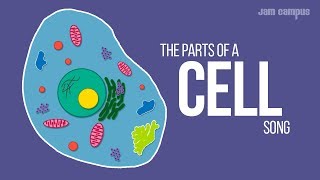 THE PARTS OF A CELL SONG  Science Music Video [upl. by Sculley822]