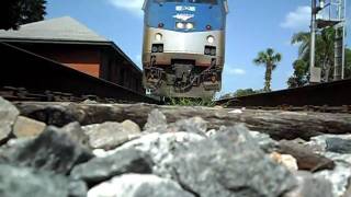 Amtrak Train The Silver Star Runs Over My Camera [upl. by Malarkey]