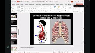 Cursillo de neumología 1 [upl. by Inafets907]