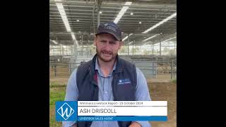 23 October AWN Livestock amp Property Wimmera Market Report with Ash Driscoll – Livestock Sales Agent [upl. by Bathsheeb]