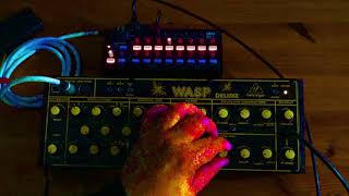 Behringer Wasp [upl. by Andrien]