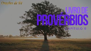 Livro de Provérbios  Capítulo 6 [upl. by Xet]