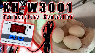 XHW3001 Temperature Controller for DIY Egg Incubator KURYENTECH [upl. by Arnst396]