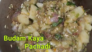 BudamKayaదోసకాయ Pachadi Recipe food pachadi indianfood videos [upl. by Nirtiac]