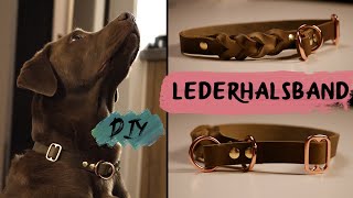 DIY  LEDERHALSBAND für Hunde  selber machen [upl. by Noryk]