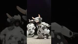 Ram Sam Sam trio cow costume link in bio  viral [upl. by Citarella540]