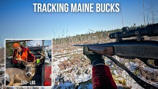 250 Pound Maine Buck  Maine Deer Season 2023 [upl. by Llehsad146]